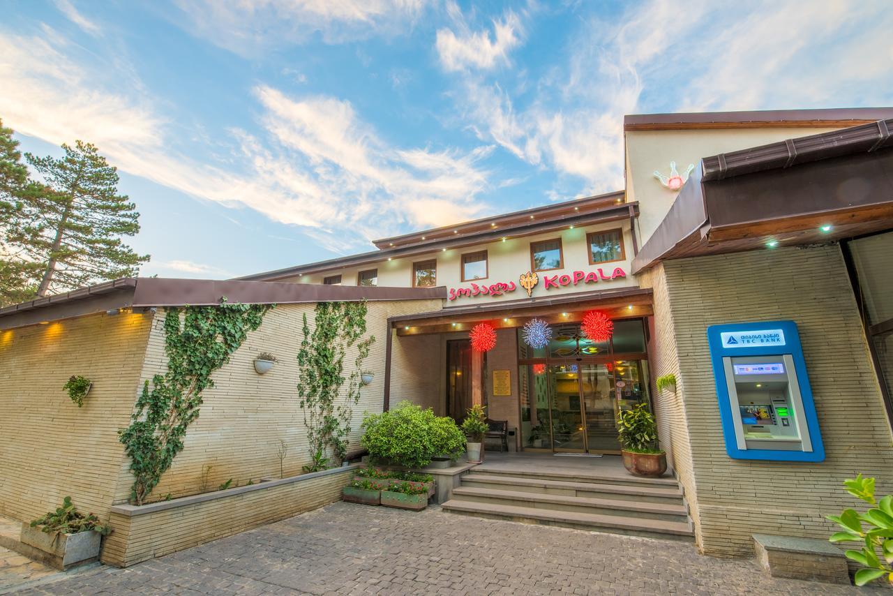 Kopala Tskneti Hotel Tsqnet'i Dış mekan fotoğraf